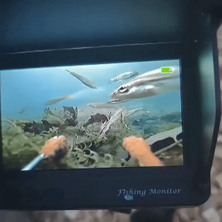 2. You'll Finally Understand Why They're Not Biting