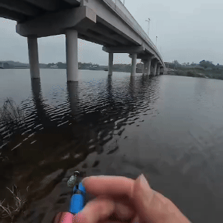 2. Finally, Something That Beats Screen Time